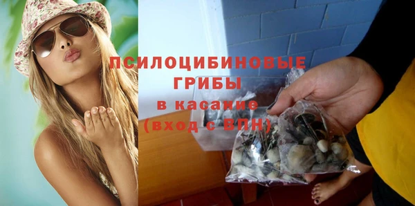 тгк Арсеньев