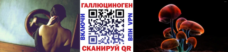 блэк спрут ссылки  Усинск  Псилоцибиновые грибы Psilocybe 